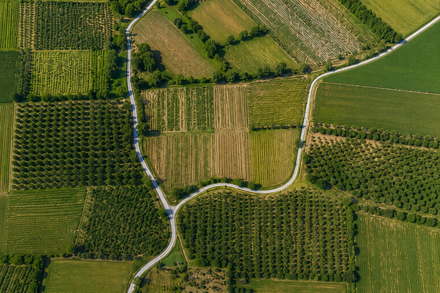Ortofoto agricola dall’alto
